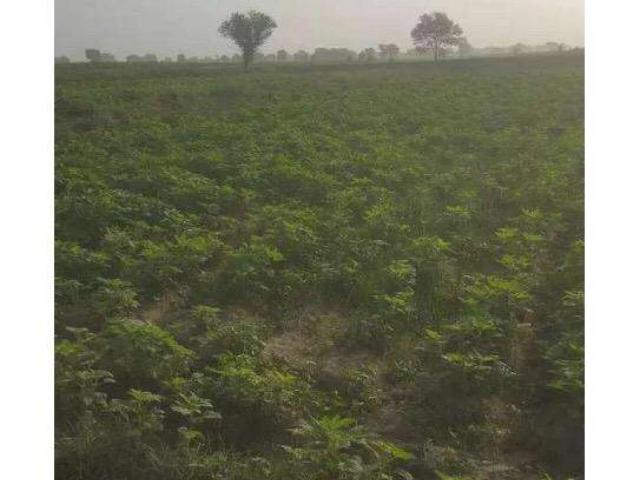 Land for sale in Kasur, Islamabad Capital Territory