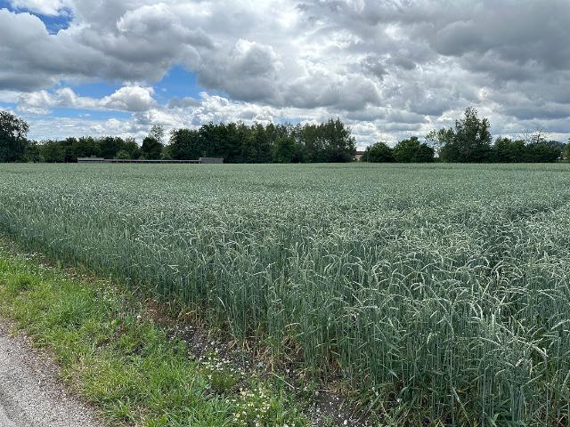 Landwirtschaft kaufen in Altötting, Bayern