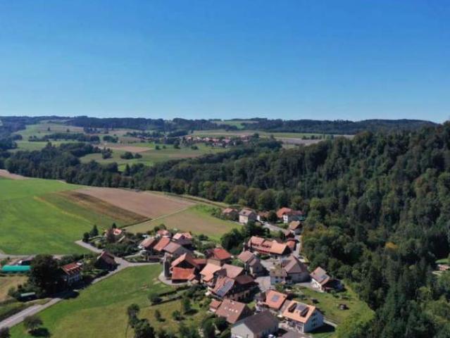 Apartment mieten in Syens, Waadt