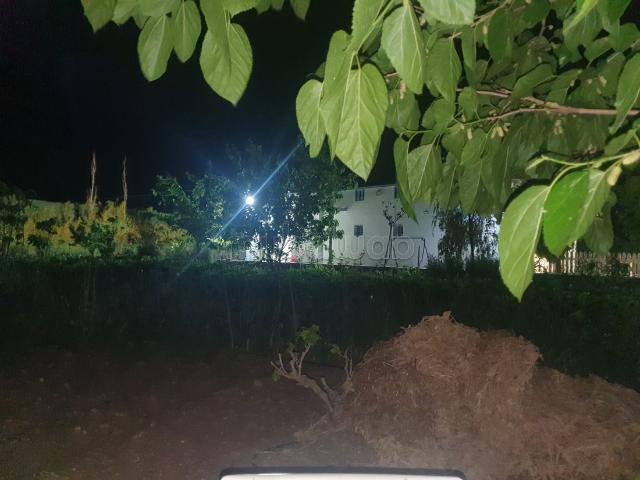 Ferme vente à Ben Slimane, Chaouia-Ouardigha