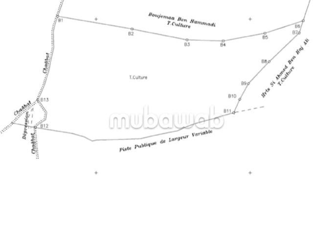 Ferme vente à Al Haouz, L'Oriental