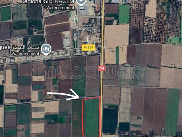 Ferme vente à Sidi Qacem