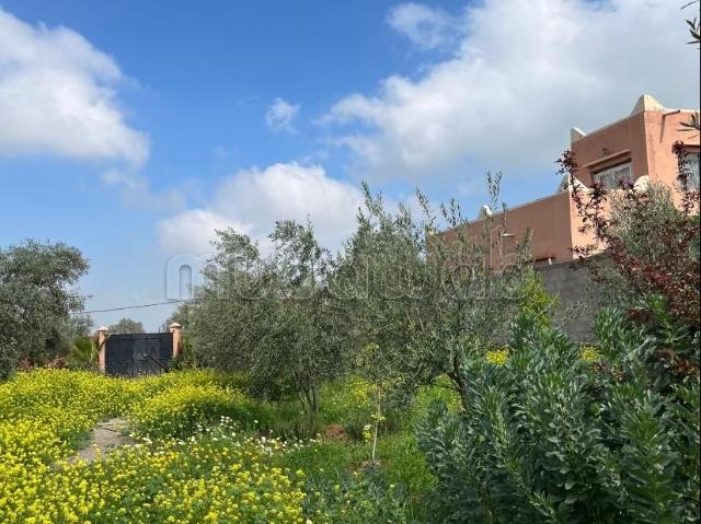 Ferme vente à Tassoultante, L'Oriental