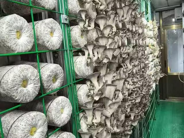 House for sale in Vancouver, British Columbia