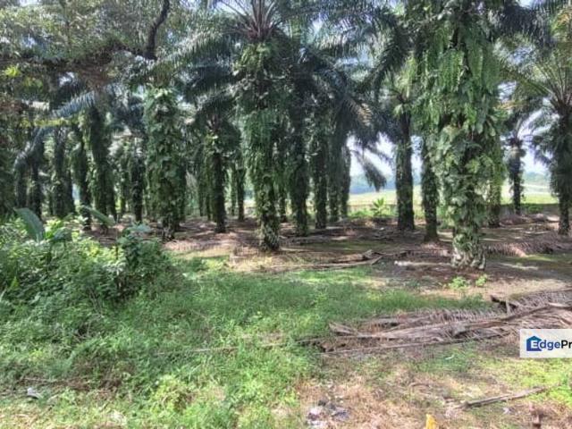 Shop for sale in Perak, Tapah