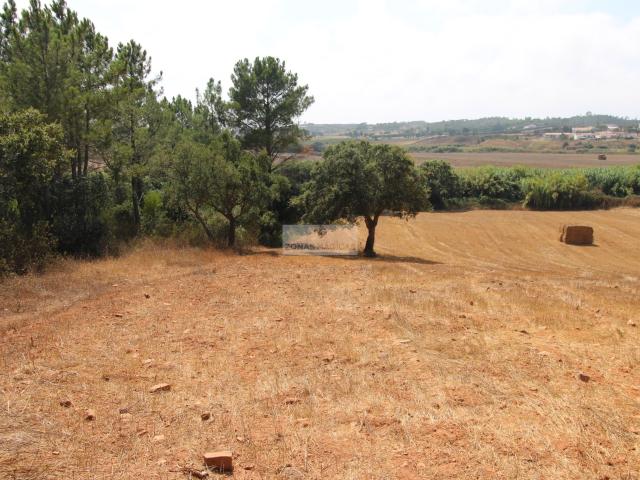 Terreno venda em Aljezur, Faro