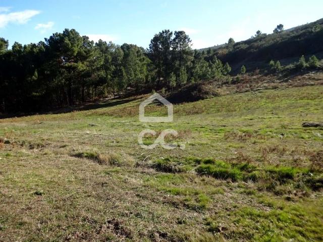 Terreno venda em Mourilhe, Viseu