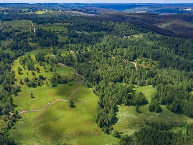 Terreno en venta en Fresia, Los Lagos