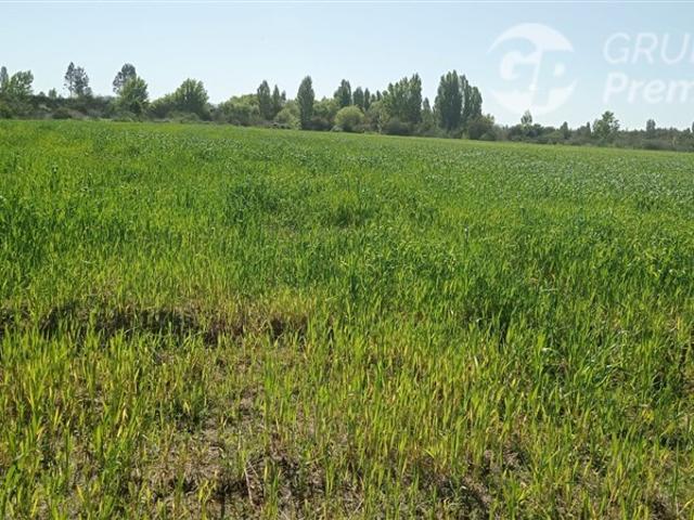 Casa en arriendo en Longaví, Maule
