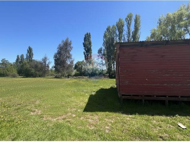 Agrícola en Longaví