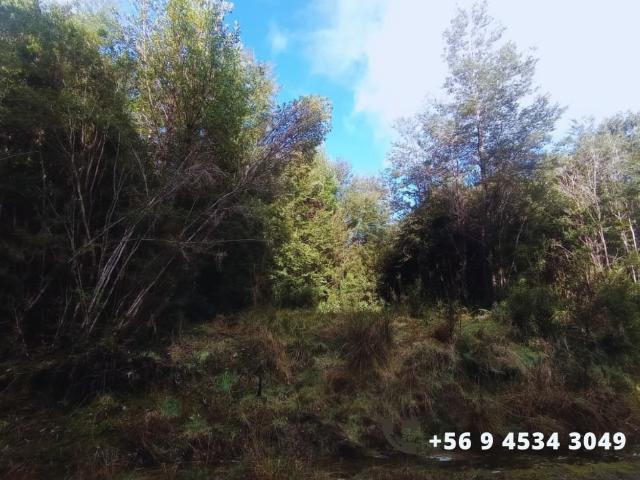 Agrícola en Chonchi