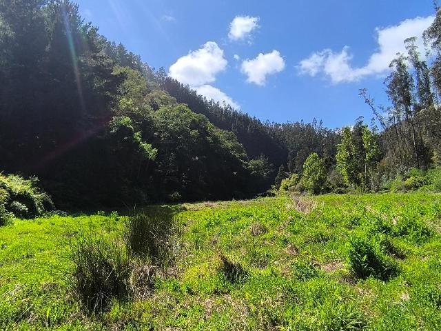 Terreno en venta en Ñuble