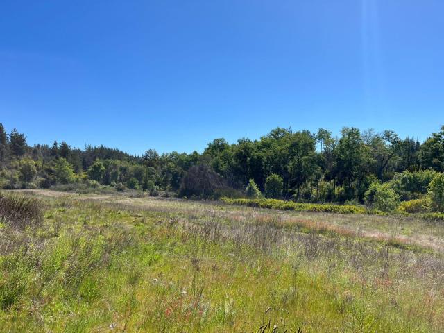 Agrícola en Coelemu