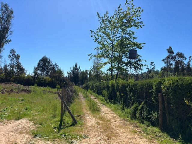 Agrícola en Coelemu