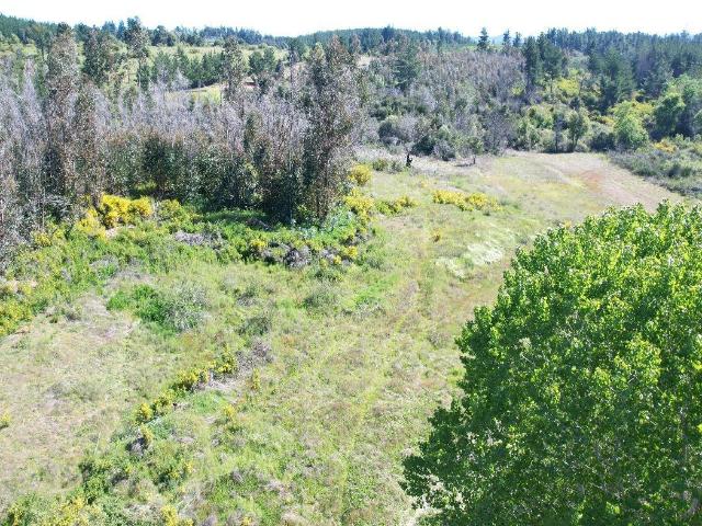 Agrícola en Coelemu