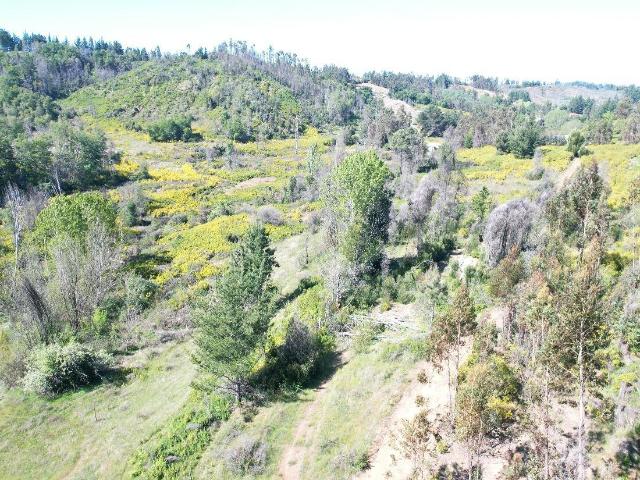 Agrícola en Coelemu