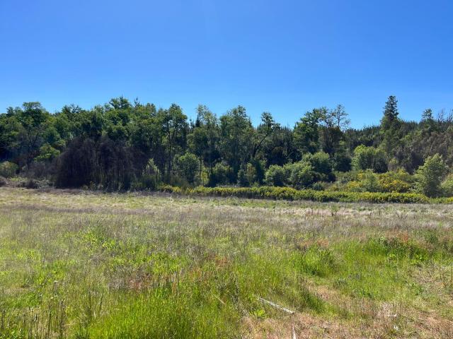 Agrícola en Coelemu