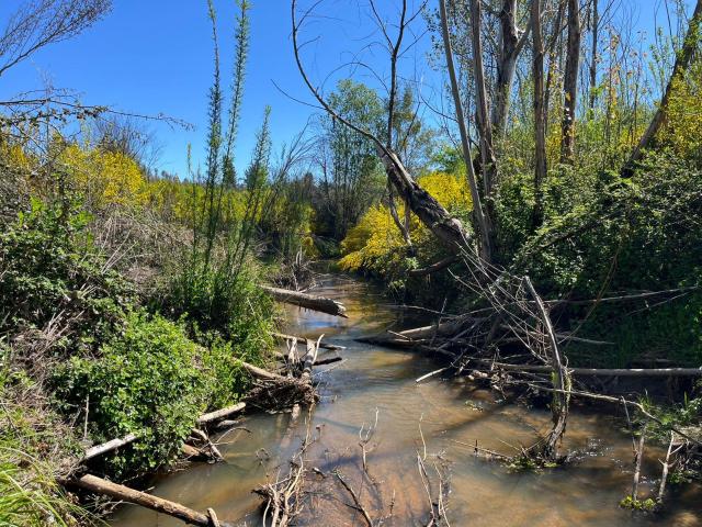 Agrícola en Coelemu