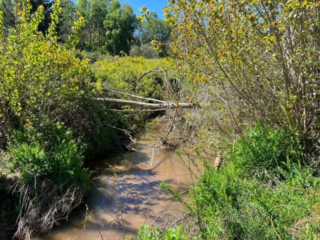 Agrícola en Coelemu