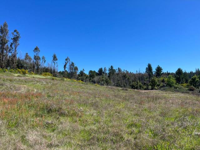 Agrícola en Coelemu