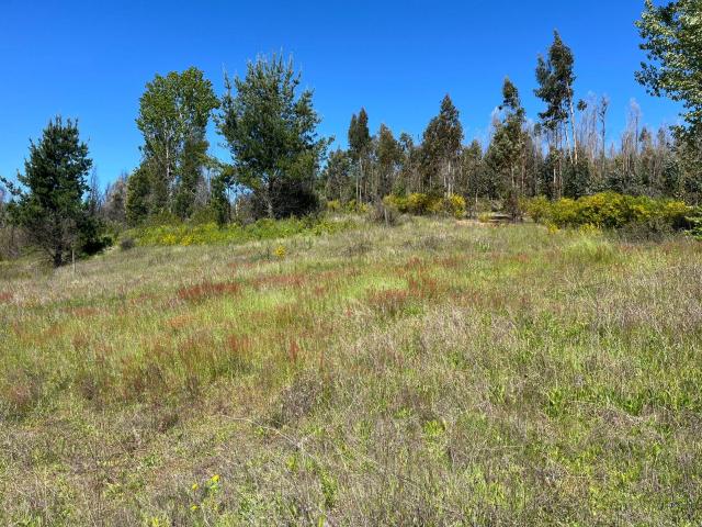 Agrícola en Coelemu