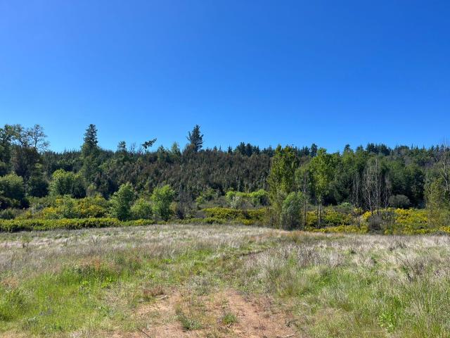 Agrícola en Coelemu