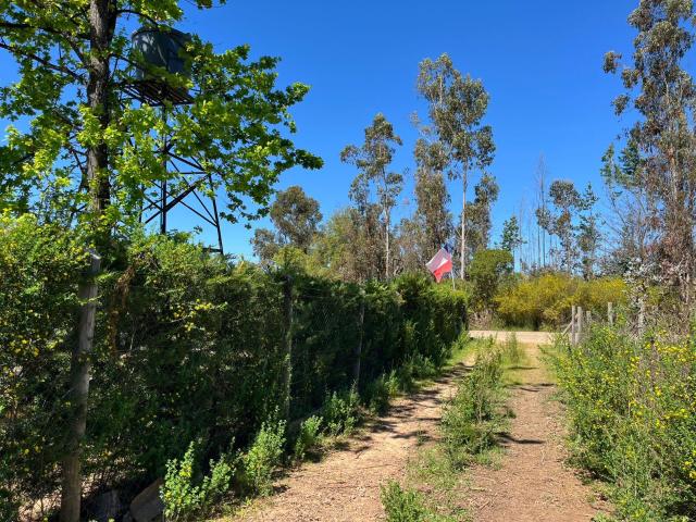 Agrícola en Coelemu