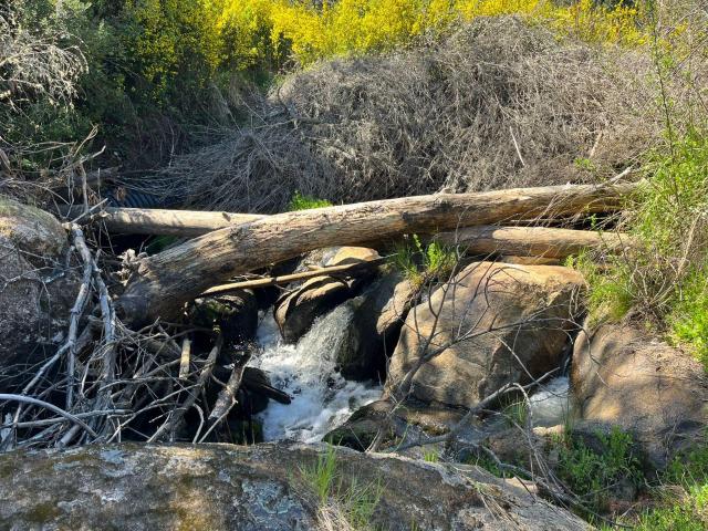 Agrícola en Coelemu