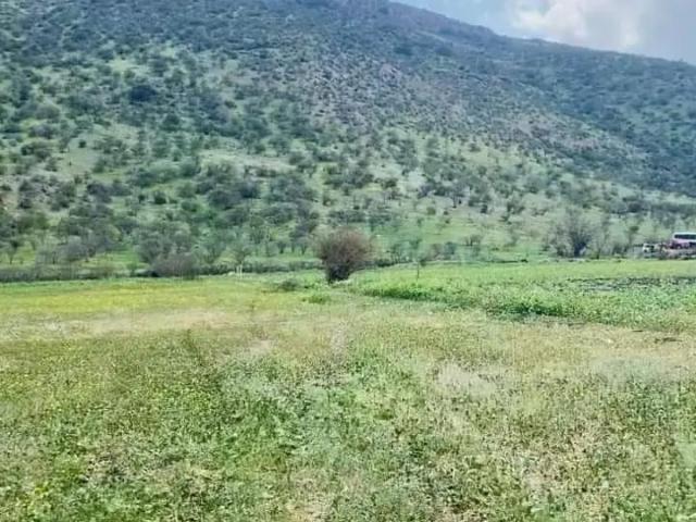 Agrícola en Colina