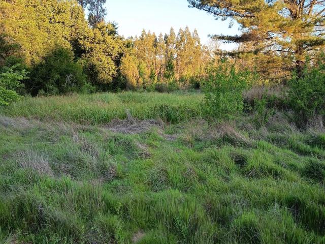 Terreno en venta en Concepción, Biobío