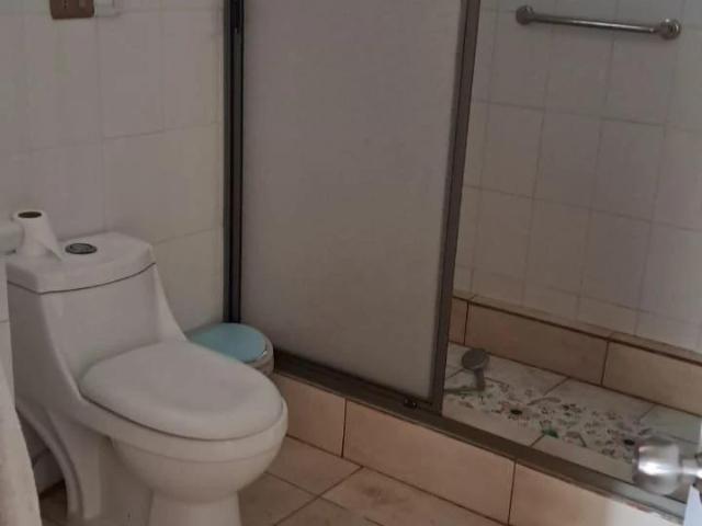 Agrícola en Constitución