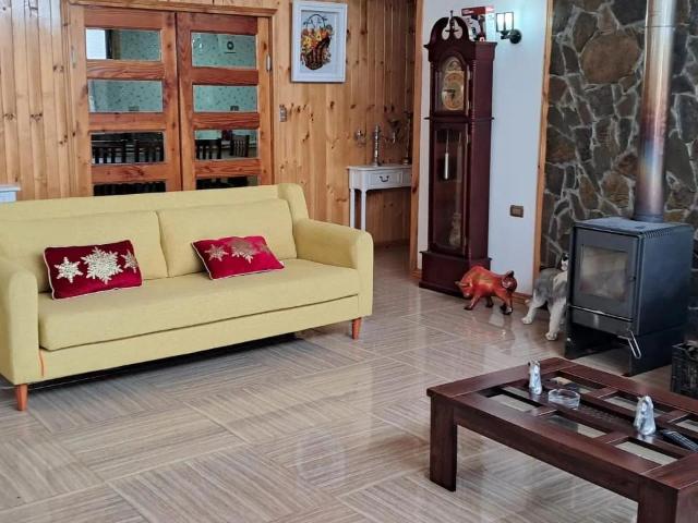 Agrícola en Constitución