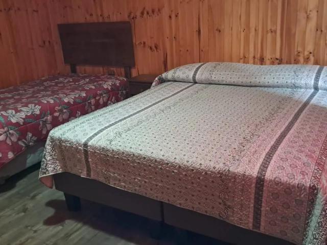 Agrícola en Constitución