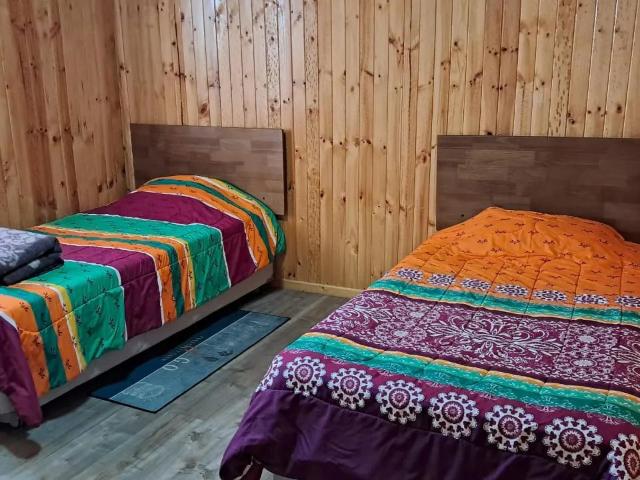 Agrícola en Constitución