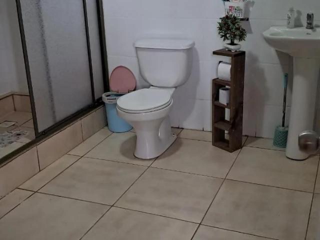 Agrícola en Constitución