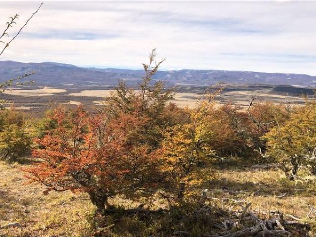 Terreno en venta en Coyhaique, Capital, Aysén Del General Carlos Ibáñez Del Campo