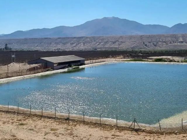 Terreno en venta en Santa Teresa, Freirina