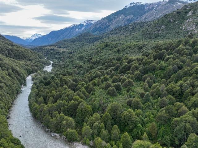 Terreno en venta en Lago Verde, Aysén Del General Carlos Ibáñez Del Campo