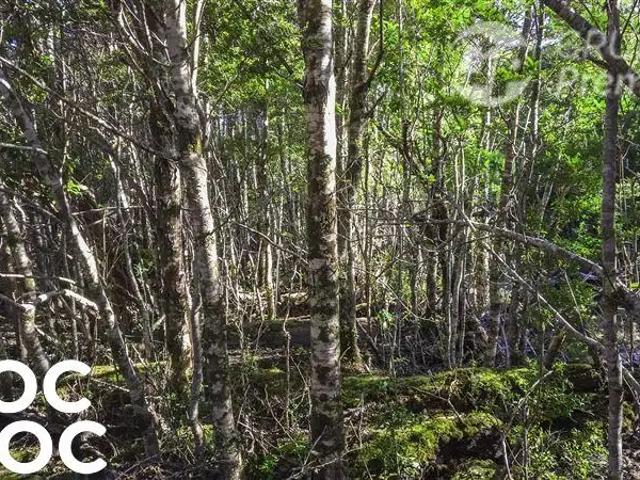 Terreno en venta en Lago Verde, Aysén Del General Carlos Ibáñez Del Campo