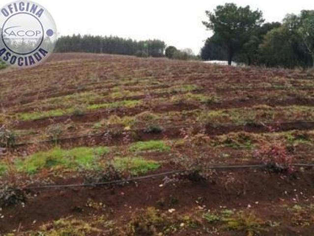 Terreno en venta en Los Álamos, Biobío