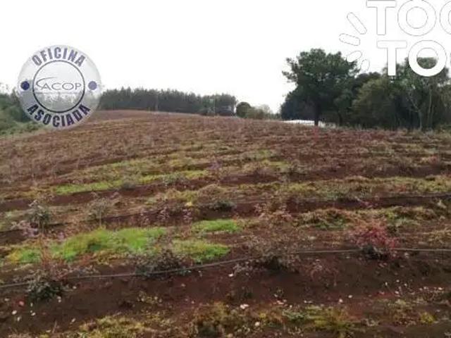 Terreno en venta en Los Álamos, Biobío