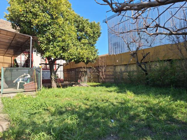 Agrícola en Los Ángeles