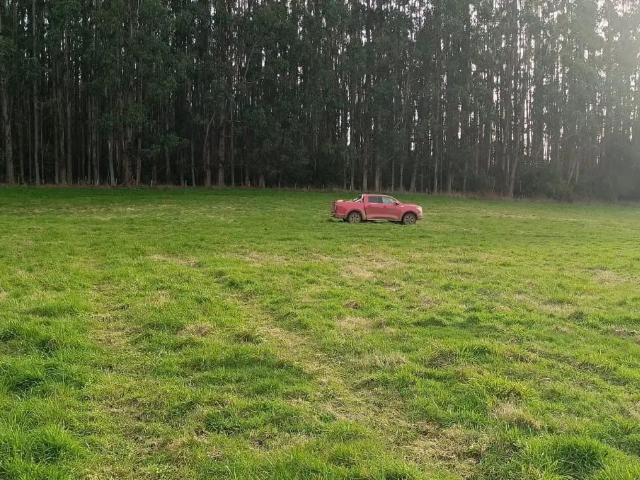 Agrícola en Los Muermos