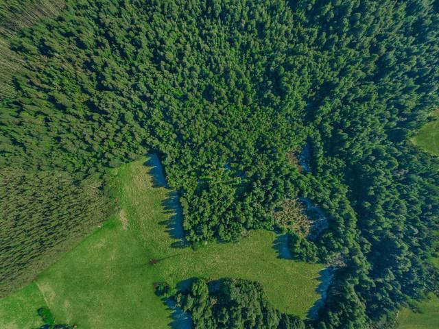 Agrícola en Los Muermos