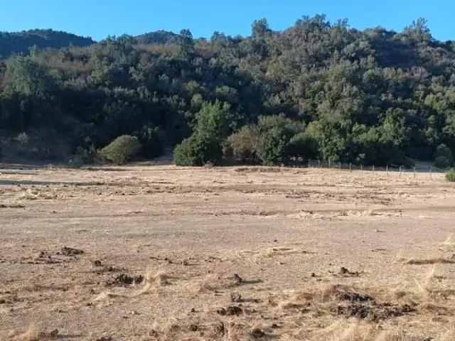 Agrícola en Melipilla