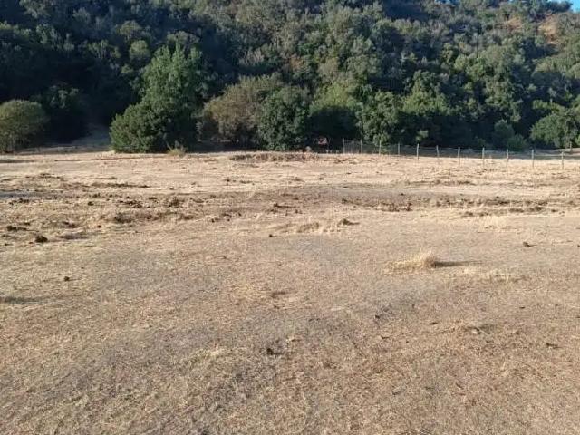 Agrícola en Melipilla