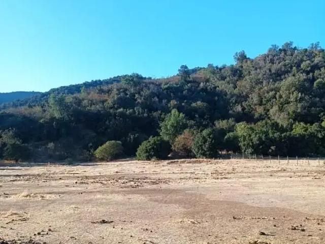 Agrícola en Melipilla
