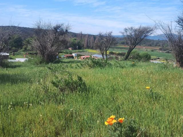 Agrícola en Melipilla