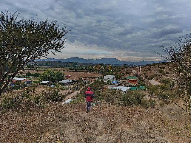 Agrícola en Melipilla
