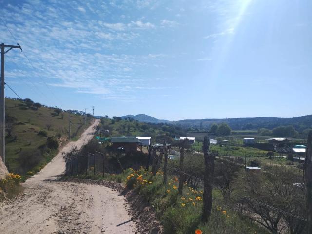 Agrícola en Melipilla